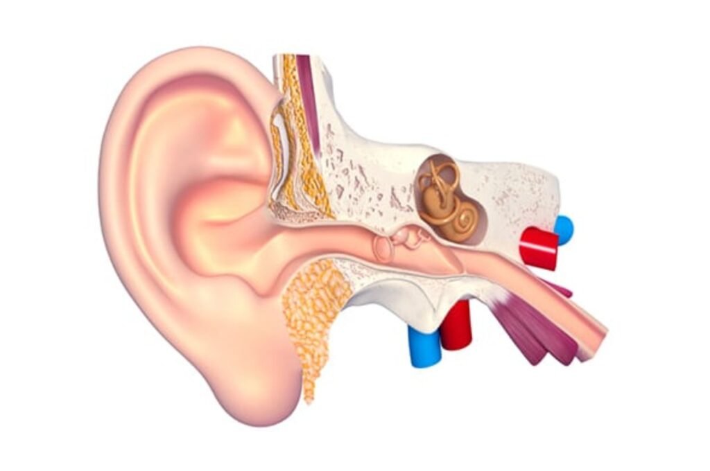 MICRO ENT Hospital - Trusted hospital for ear services in Tolichowki, providing comprehensive treatments for ear infections, hearing loss, and more.