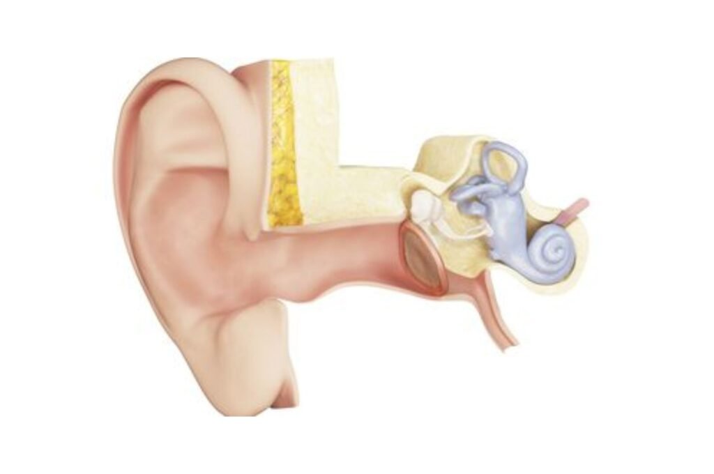 MICRO ENT Hospital - The best hospital for ear infection treatment in Tolichowki, offering expert care for a range of ear conditions.